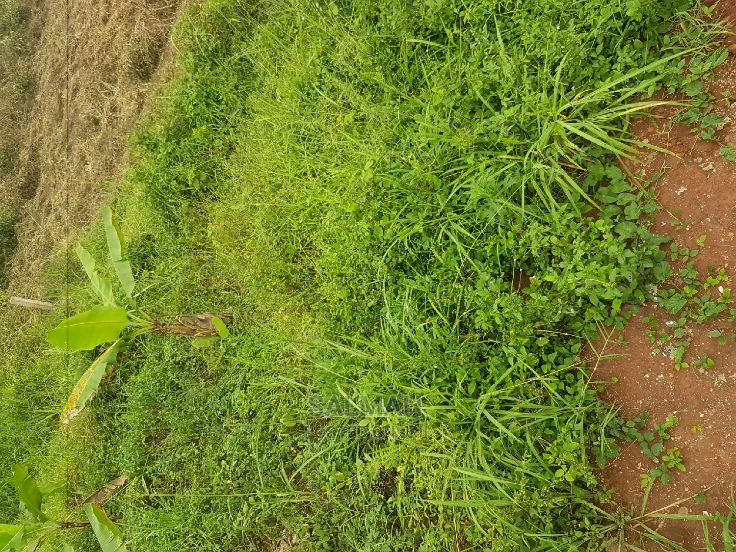 Titled Plots for Sale in Gayaza