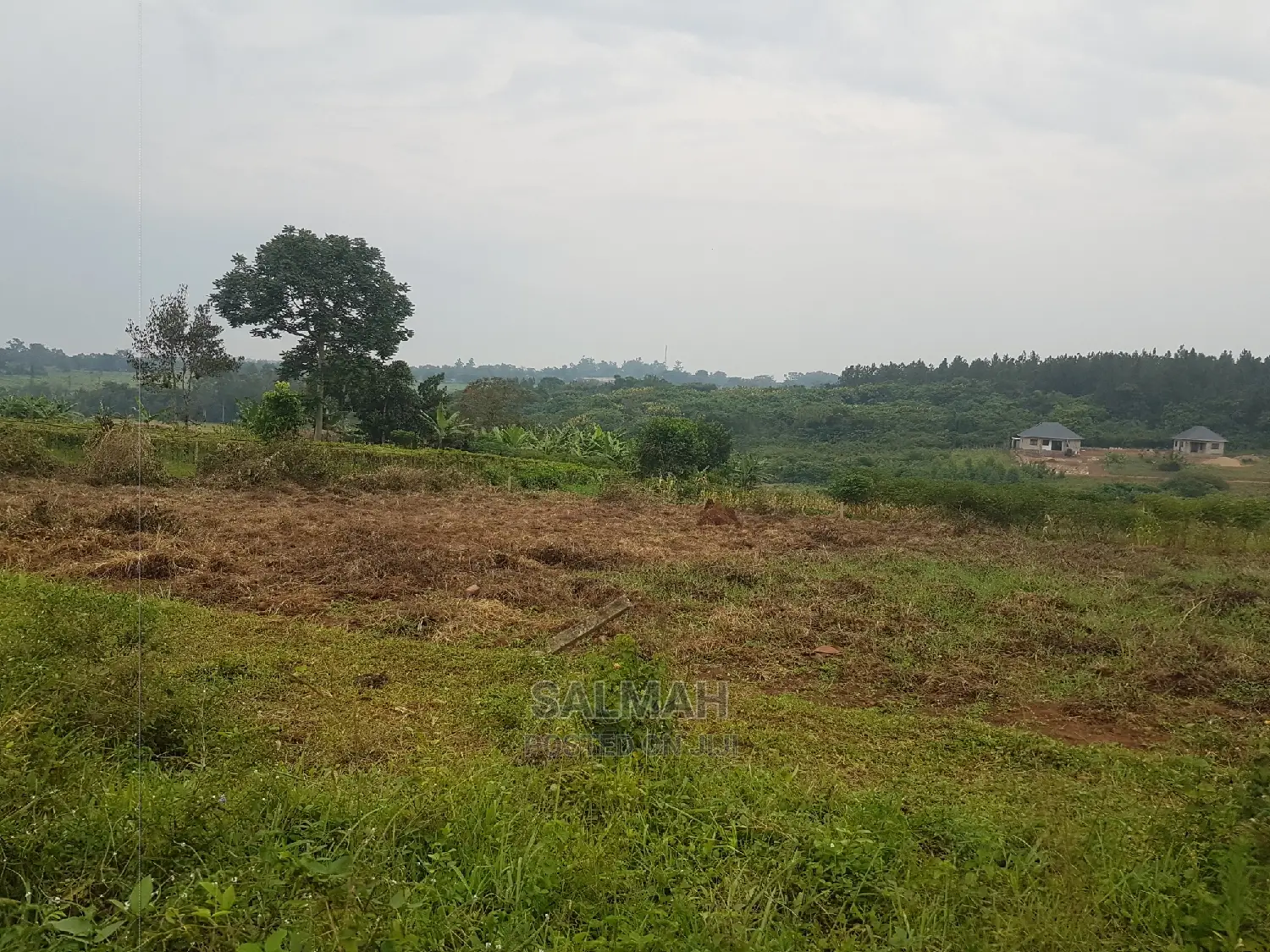 Titled Plots for Sale in Gayaza