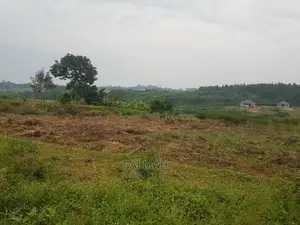 Titled Plots for Sale in Gayaza