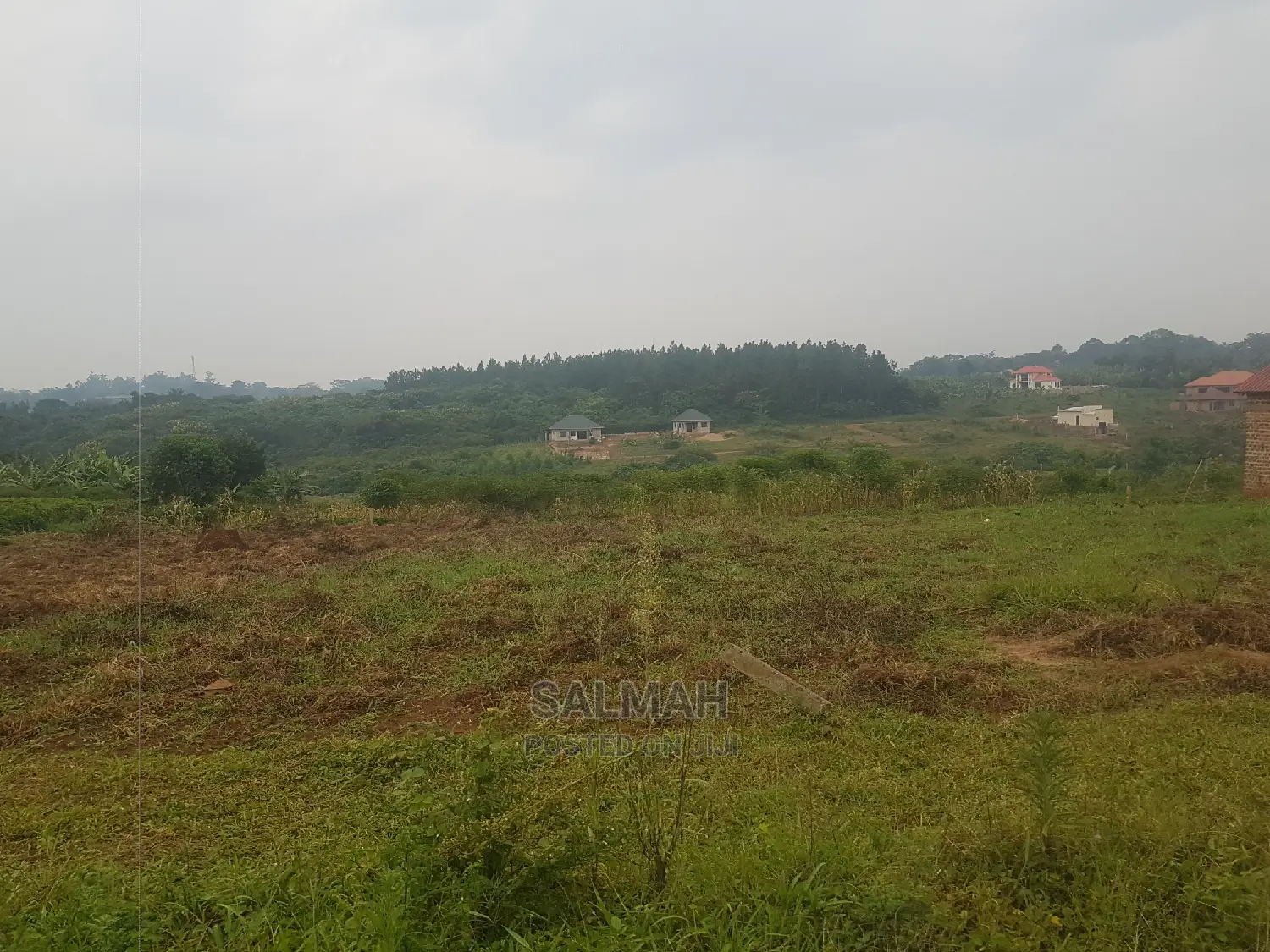 Titled Plots for Sale in Gayaza