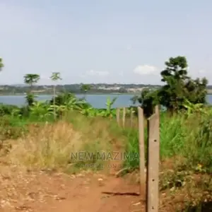 70 Decimals on Quicksale in Kawuku Ntebe Rd Lake Viewing