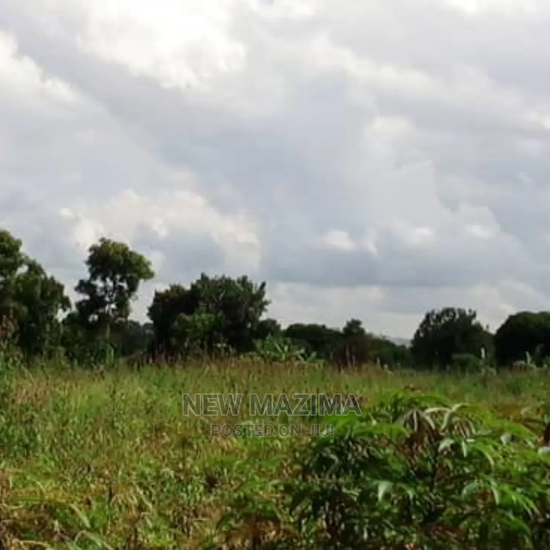 70 Decimals on Quicksale in Kawuku Ntebe Rd Lake Viewing