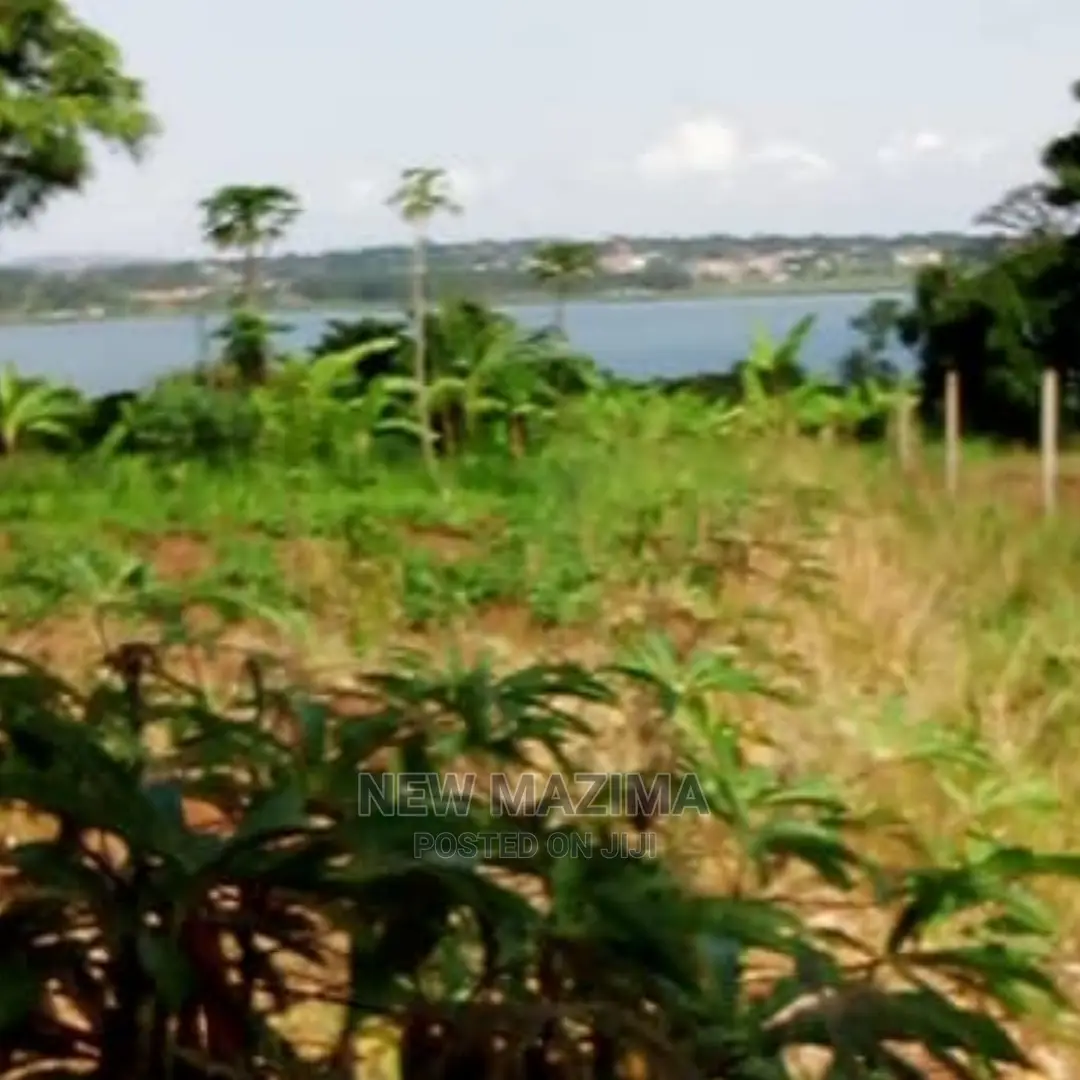 70 Decimals on Quicksale in Kawuku Ntebe Rd Lake Viewing