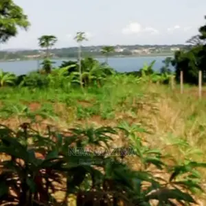 Photo - 70 Decimals on Quicksale in Kawuku Ntebe Rd Lake Viewing