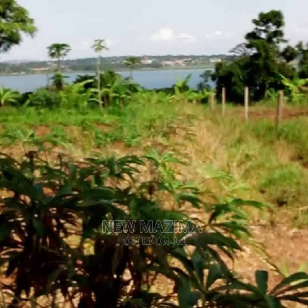 70 Decimals on Quicksale in Kawuku Ntebe Rd Lake Viewing