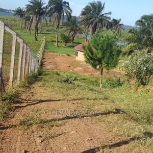 Two Acres Measuring Direct From Lake on Quicksale With Title