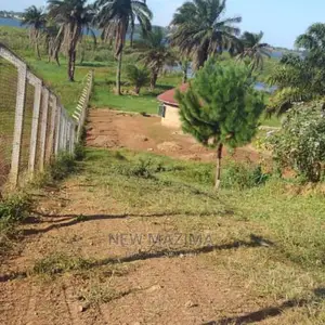 Two Acres Measuring Direct From Lake on Quicksale With Title