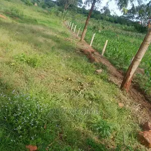 Two Acres Measuring Direct From Lake on Quicksale With Title