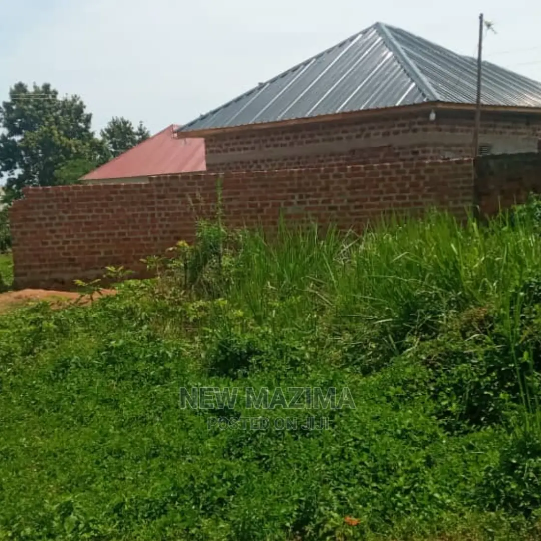 Very Beautiful Plot on Quicksale in Busabaala at Gd Price