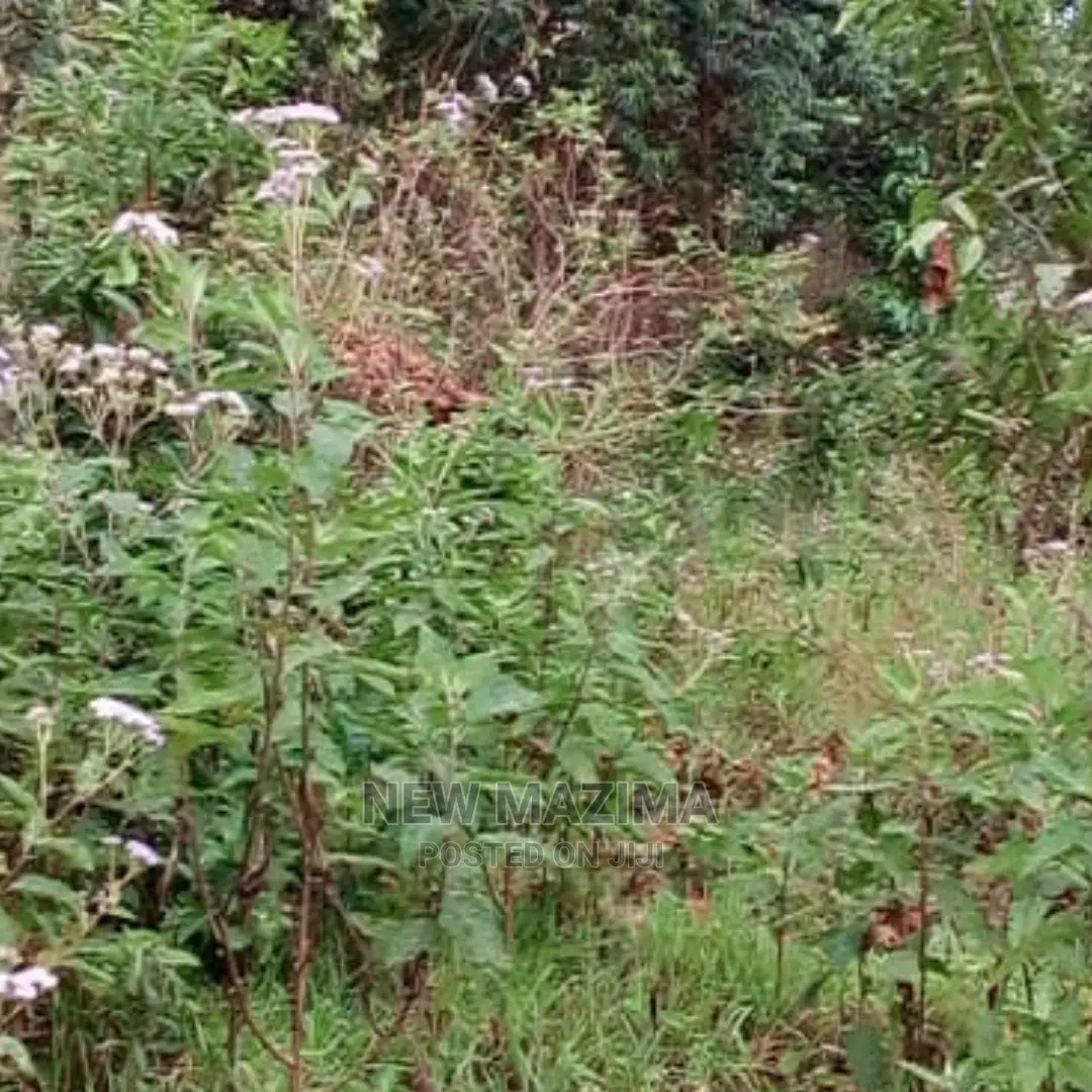 Muduma Along Mityaana Rd