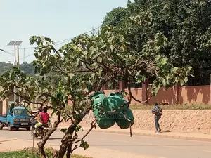 Very Comercial Plot on Main With Hse Onsale in Makindye Main