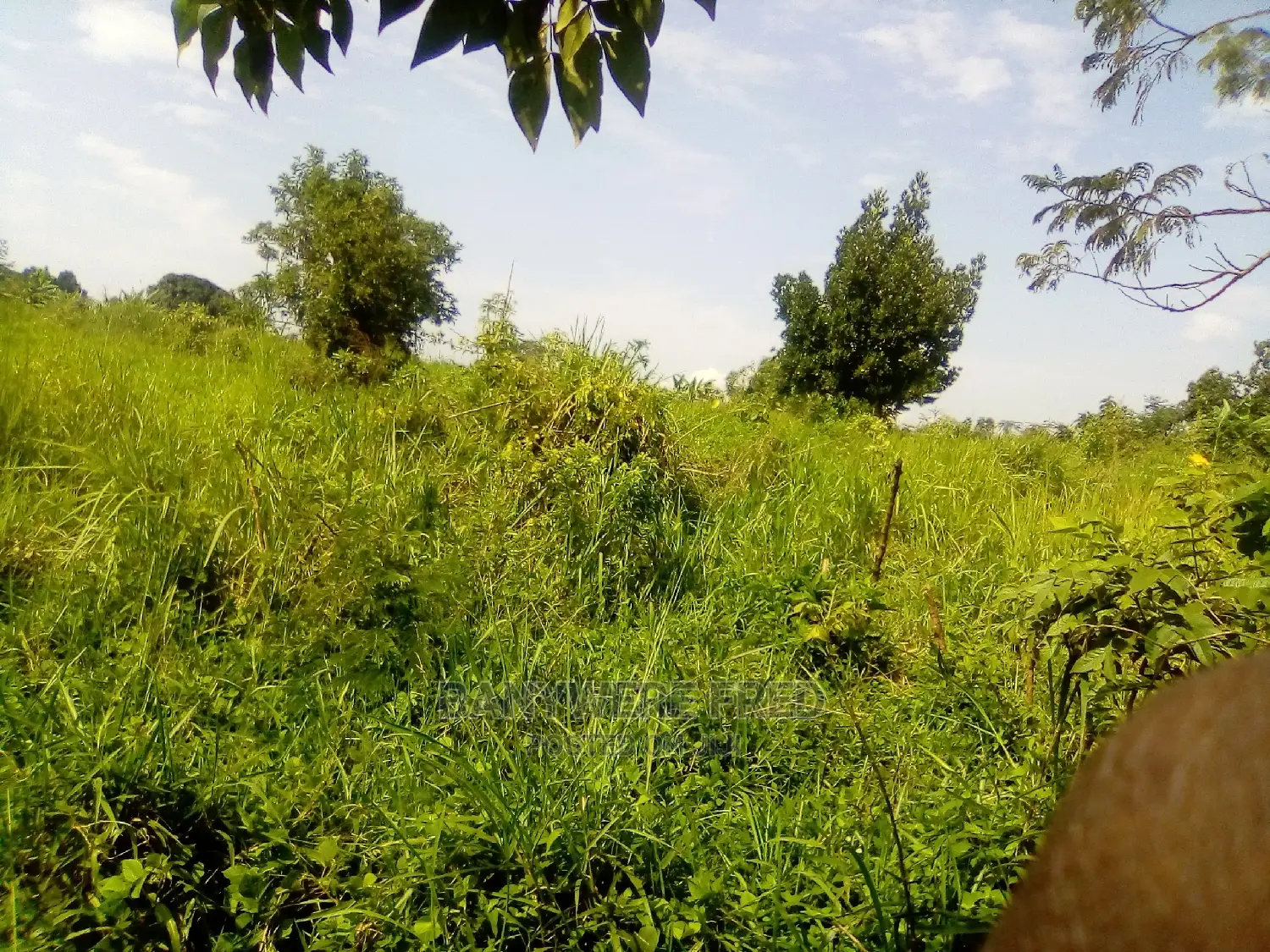 6acres of Farmland for Sale in Kamuli District in Jinja Land & Plots
