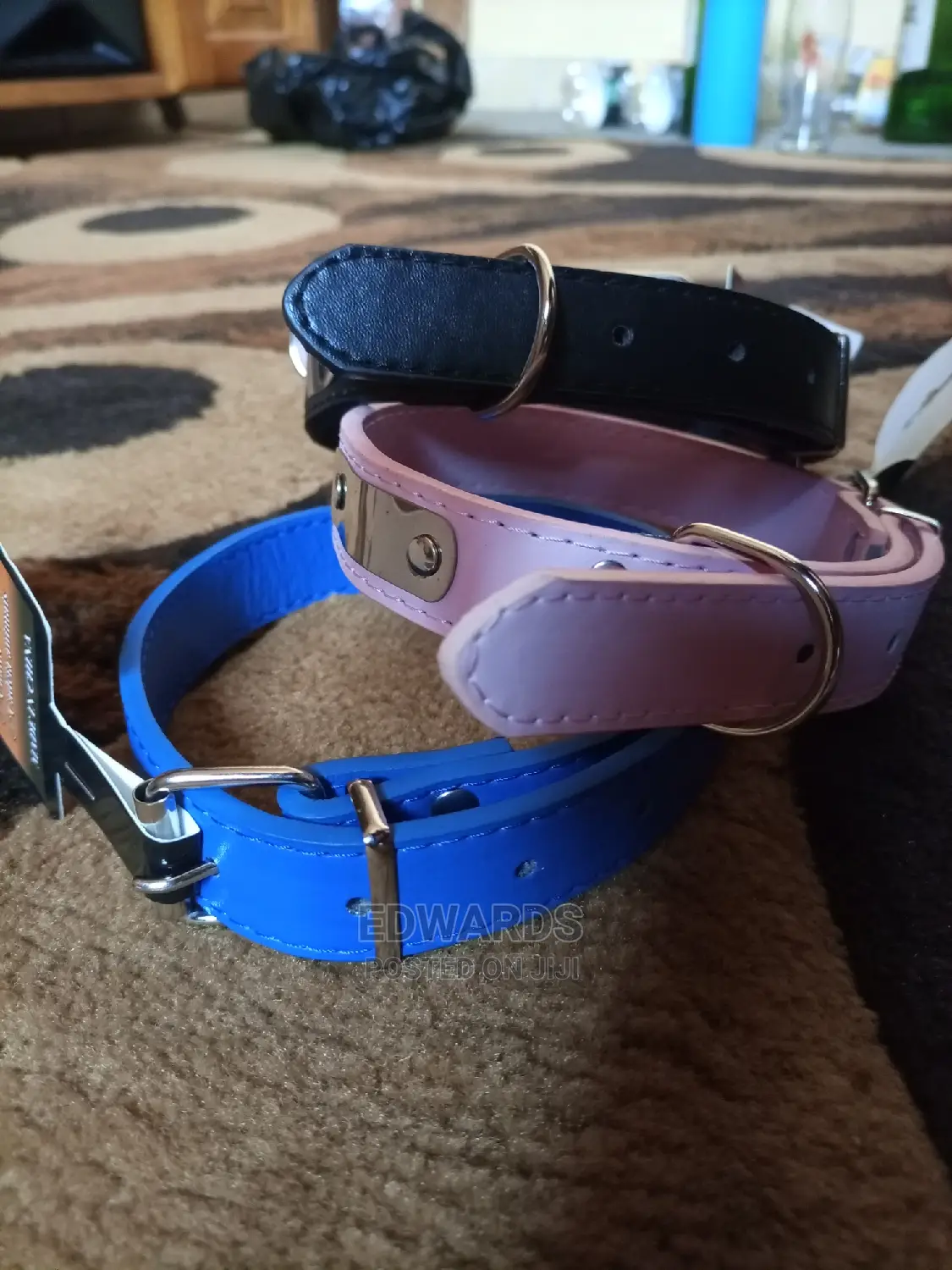 Collars for Puppies