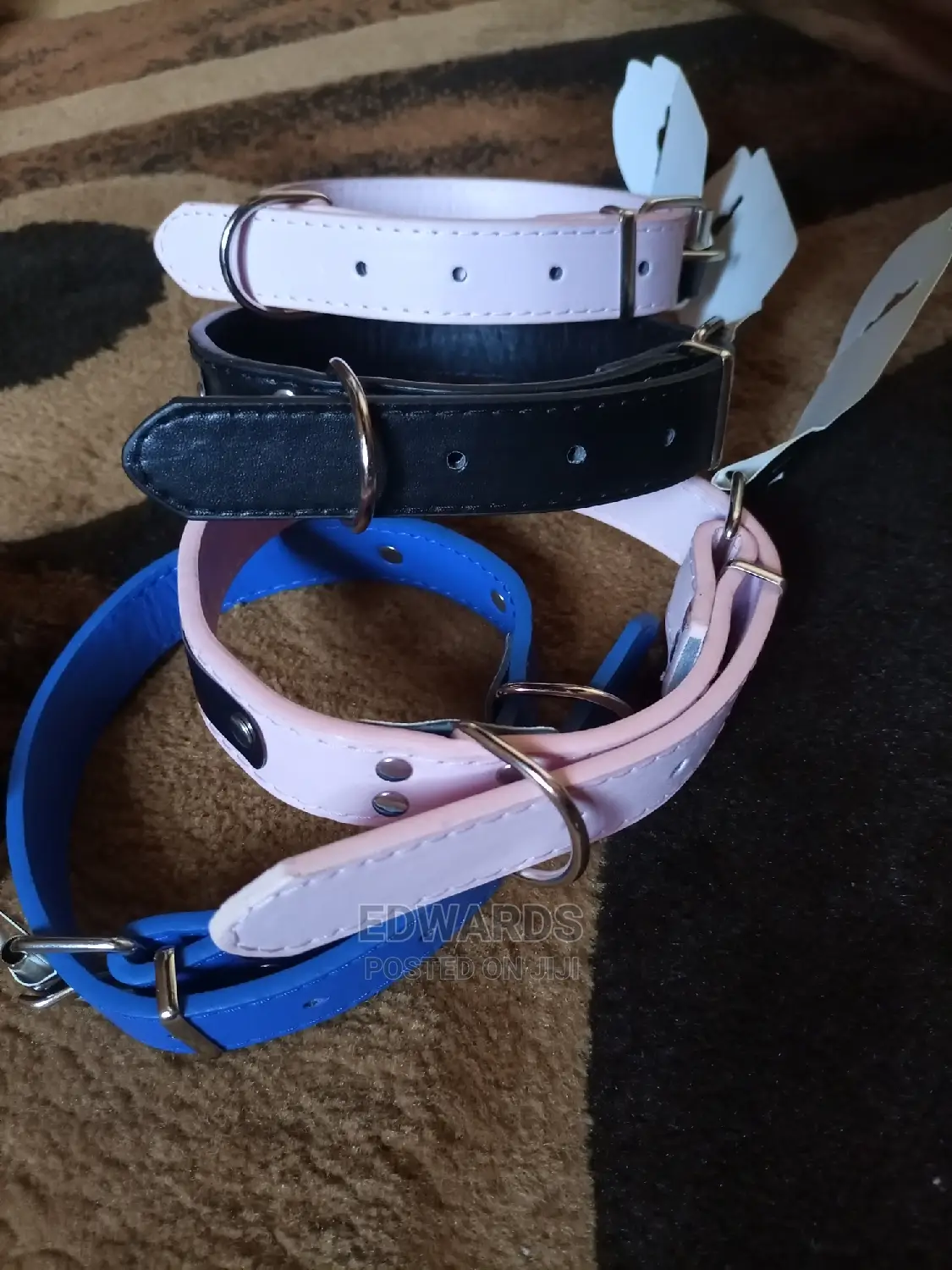 Collars for Puppies