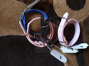Collars for Puppies