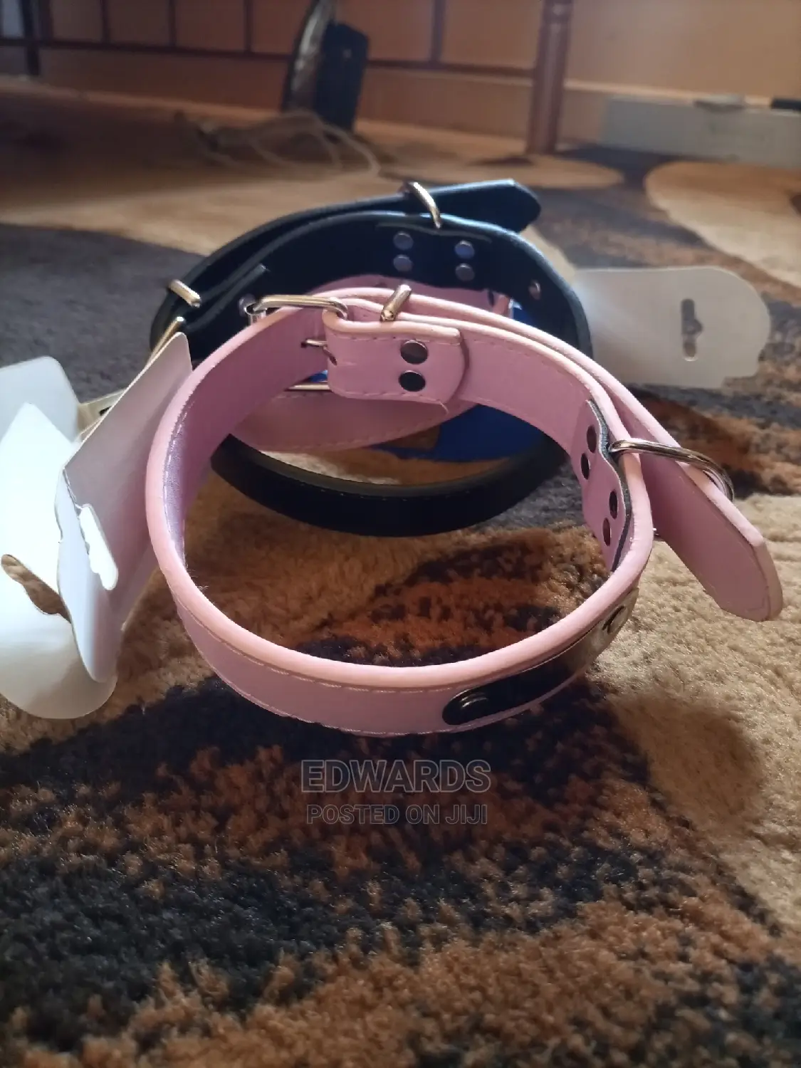 Collars for Puppies