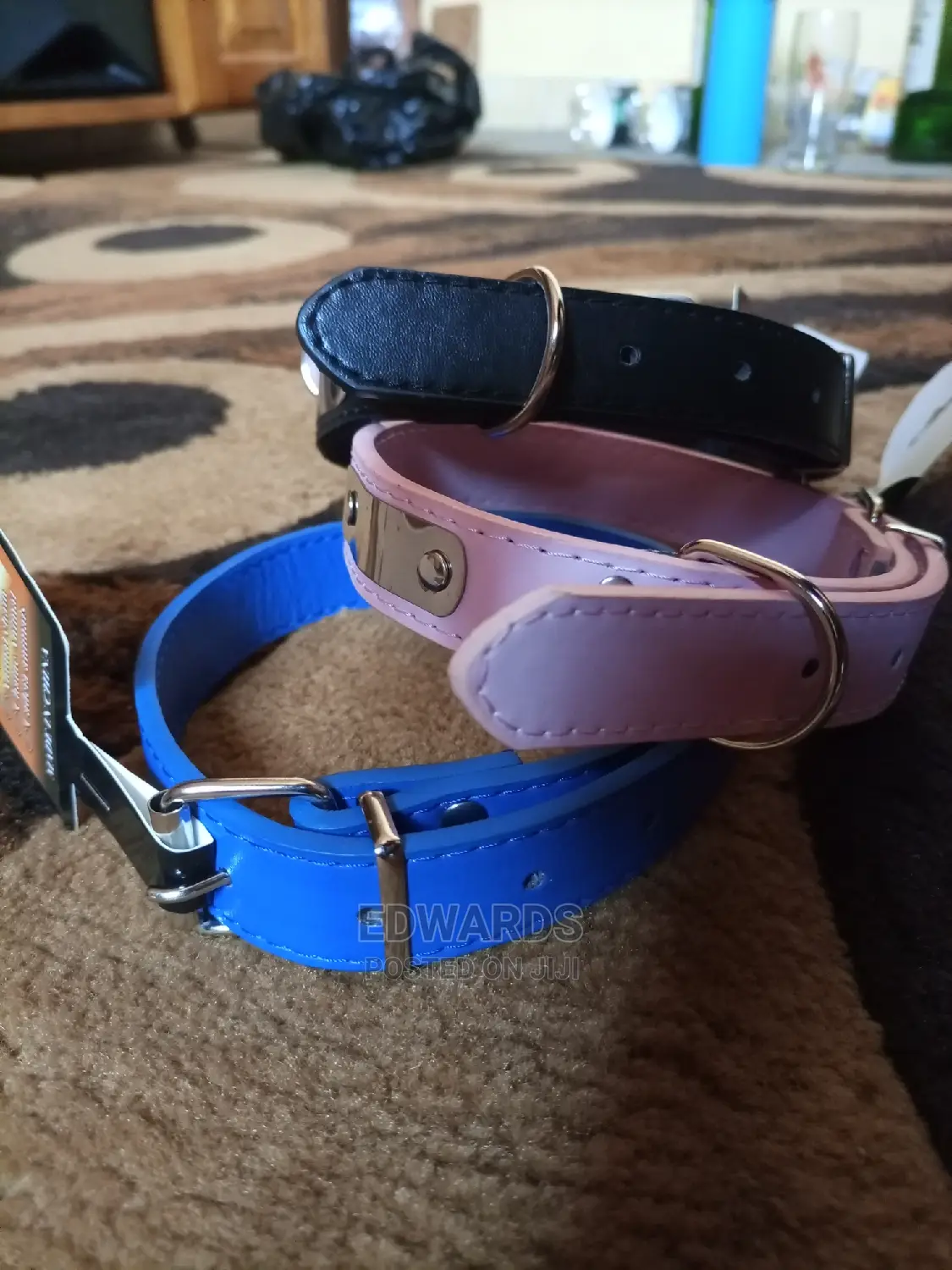 Collars for Puppies