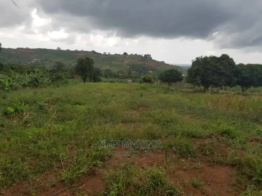 Full Acre Over Looking Into Lake on Quicksale in Nakawuka