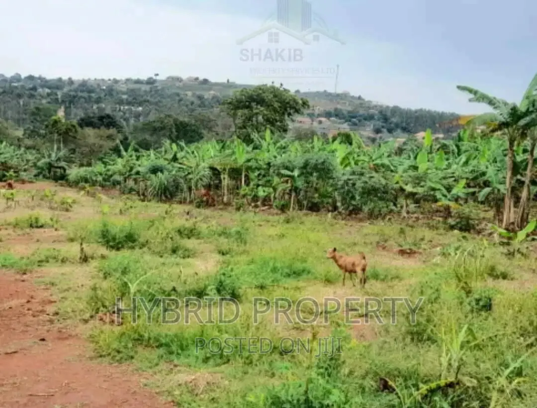 Plots for Sale at Kisozi Town Land Estate Along Masaka Road in Nsangi