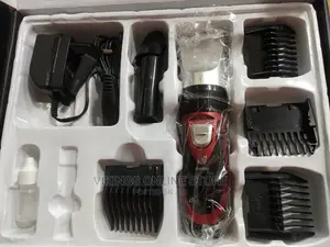 Boxin Professional Hair Clipper.