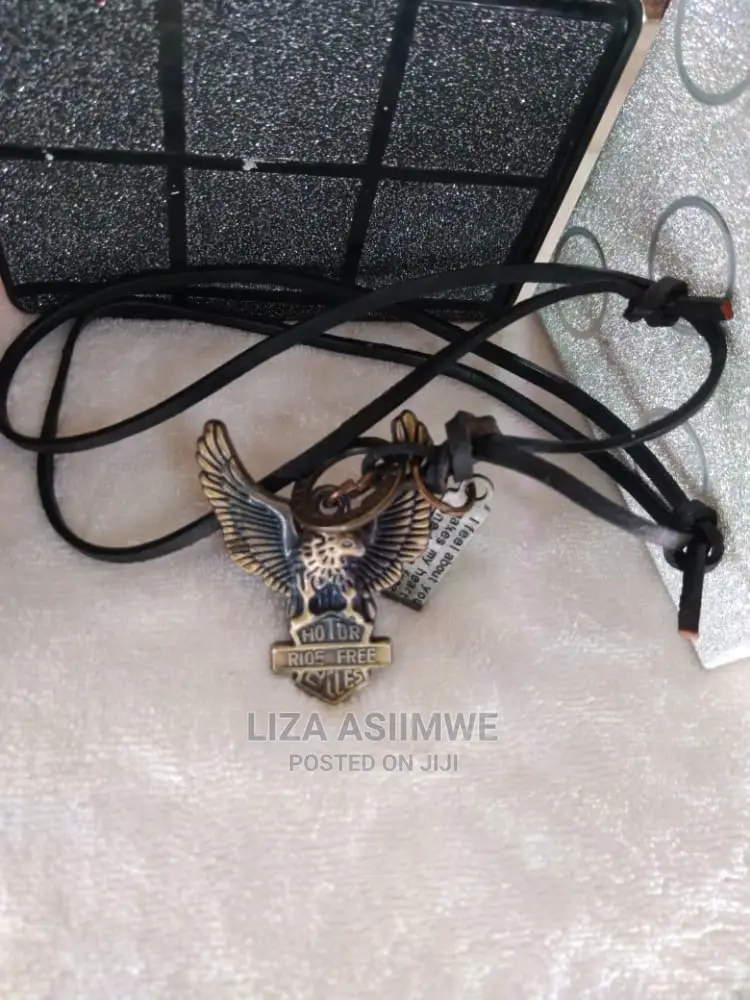 Dog Tags Available