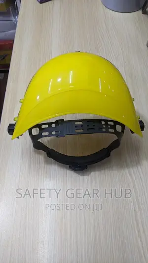 Face Shield