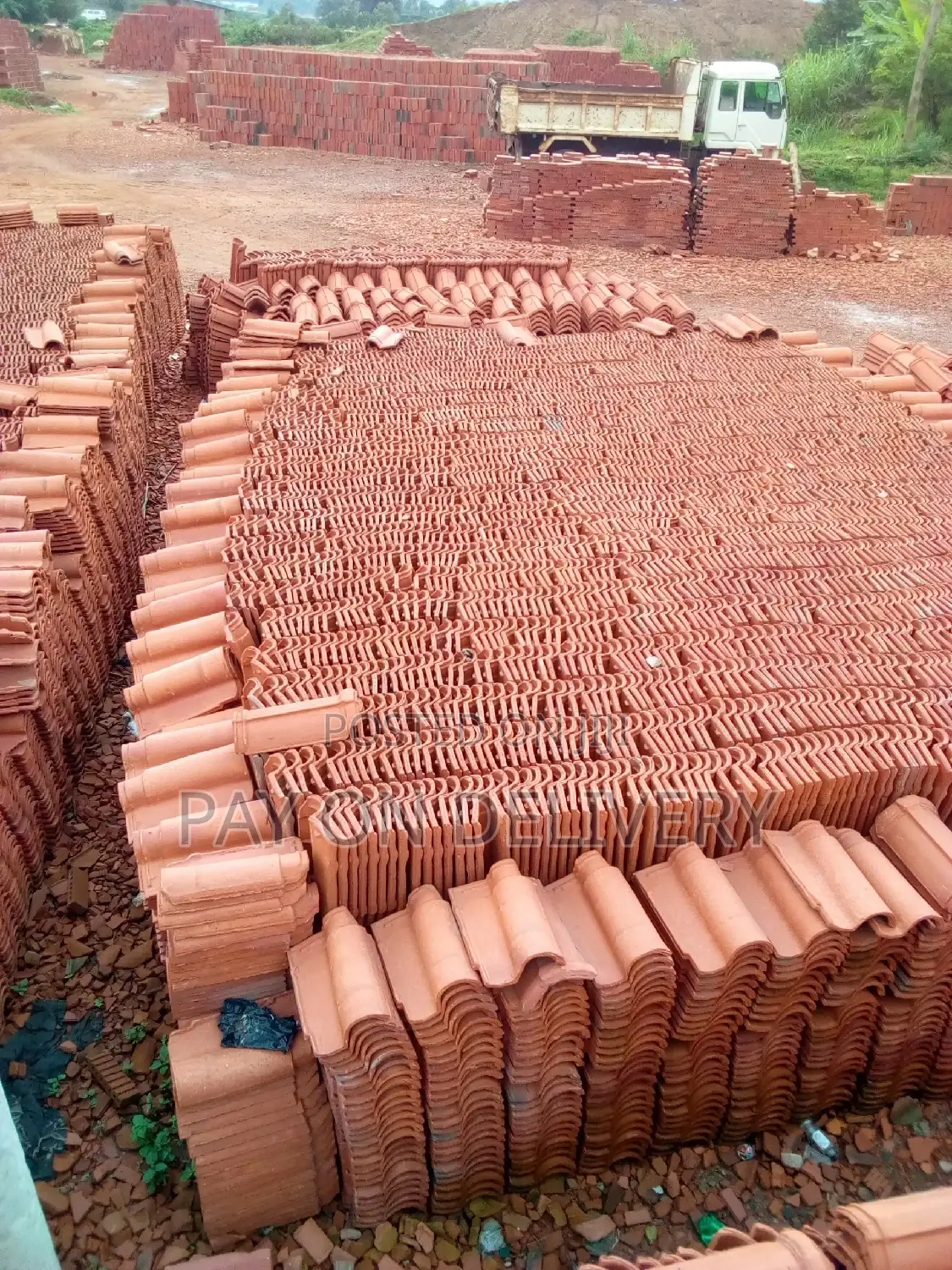 Portuguese Roof Top(Clay Roof Tiles)