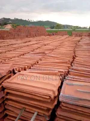 Roof Your House With (Clay Roof Tiles)
