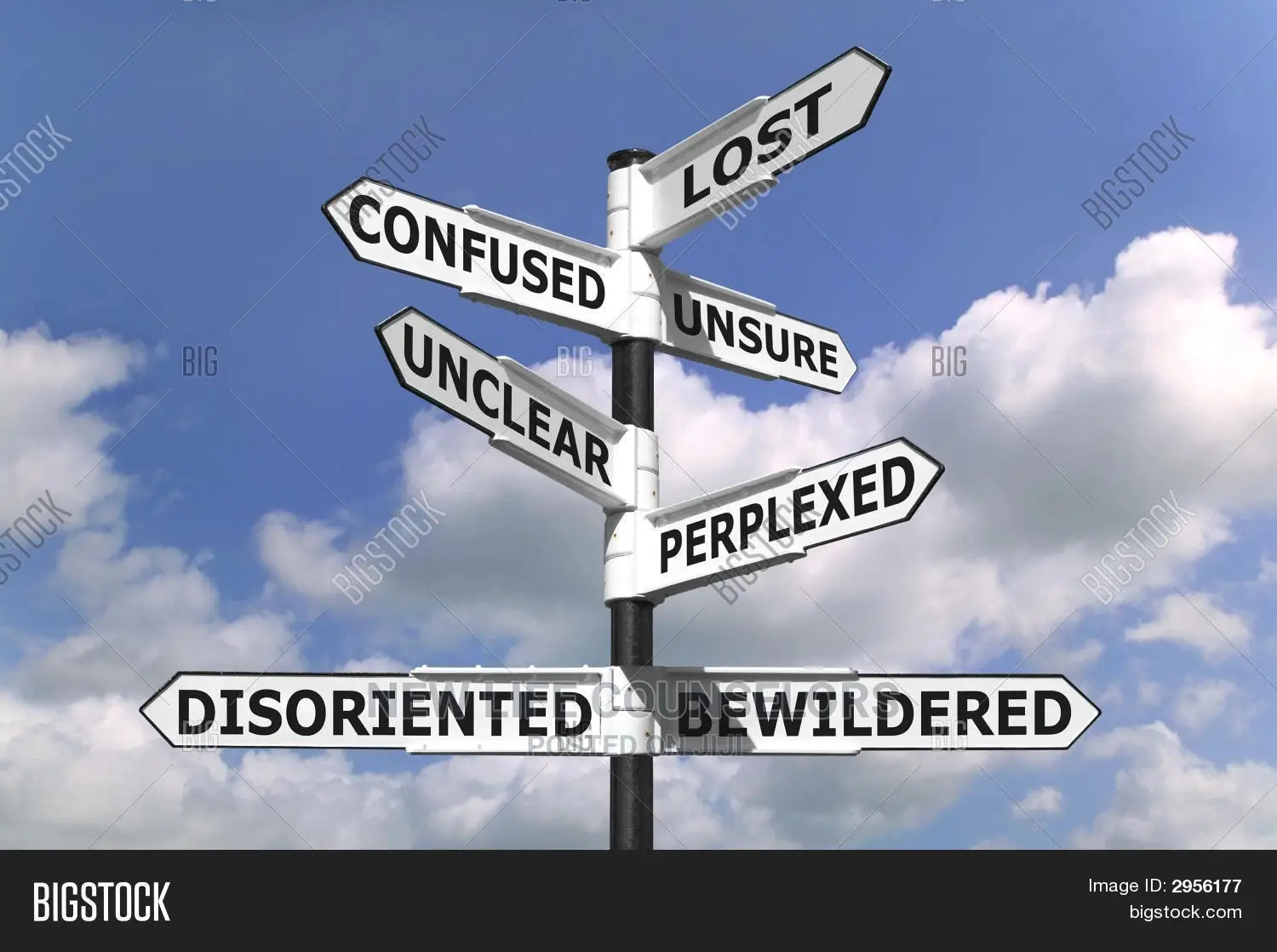 Counseling and Life Coaching Services