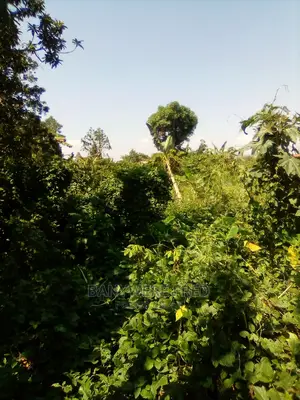 8acres of Farmland for Sale in Kyapisi