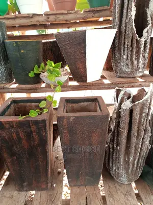 Concrete Planters/Beautiful Potted Plants to Add Home Beauty