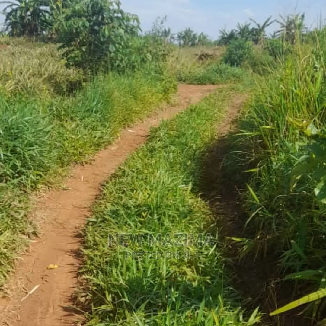 83 Acre on Quicksale in Heart of Luwero Lukiizi With Titled