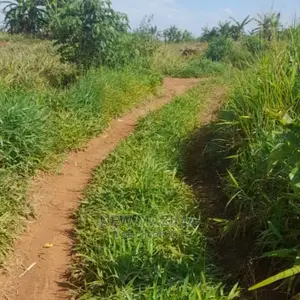 83 Acre on Quicksale in Heart of Luwero Lukiizi With Titled