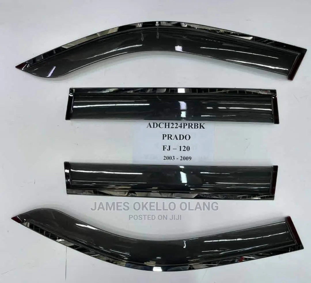 Car Rain Guard/ Visser