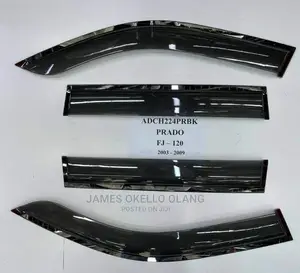 Car Rain Guard/ Visser