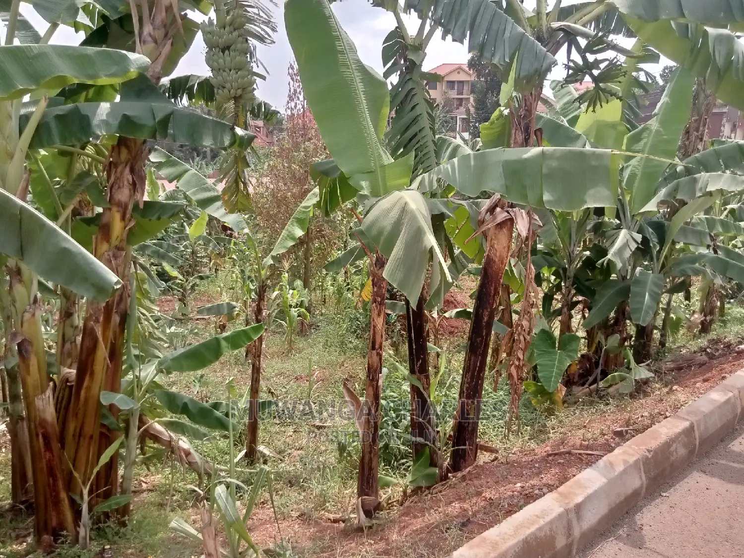 20decimals Plot of Land for Sale