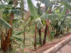 20decimals Plot of Land for Sale