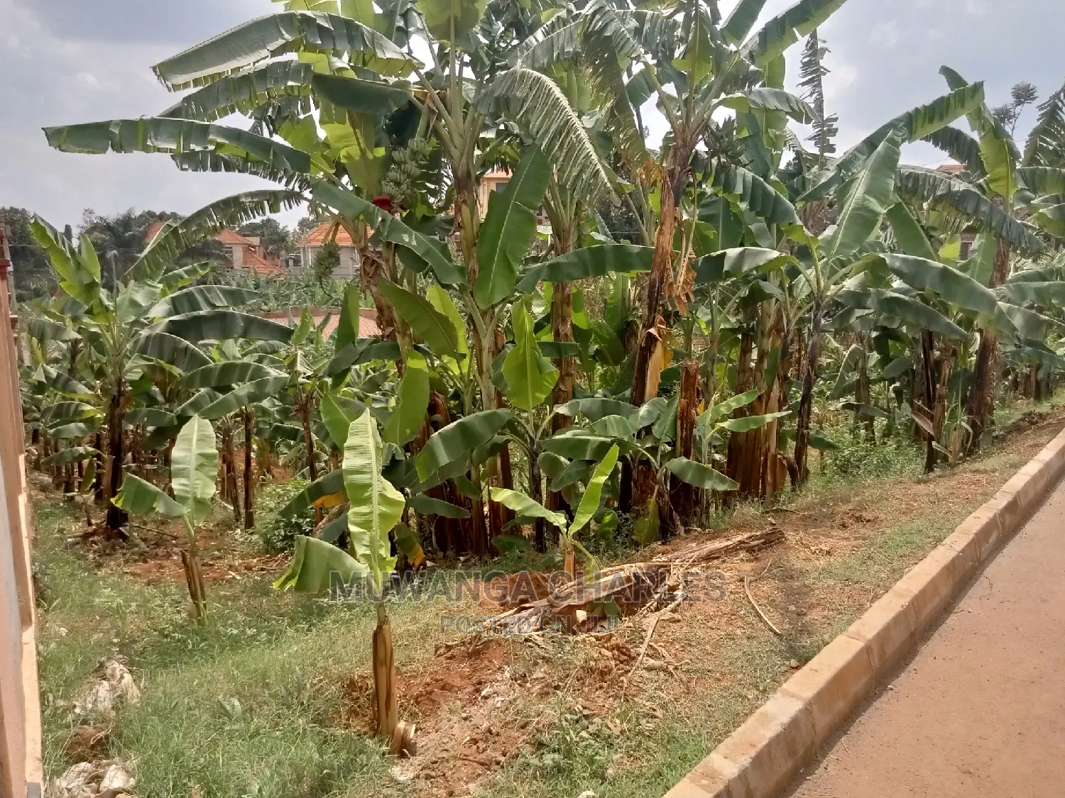 20decimals Plot of Land for Sale
