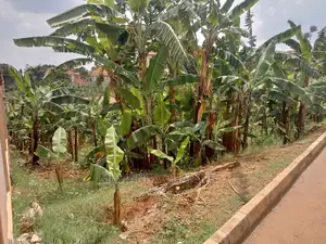 20decimals Plot of Land for Sale