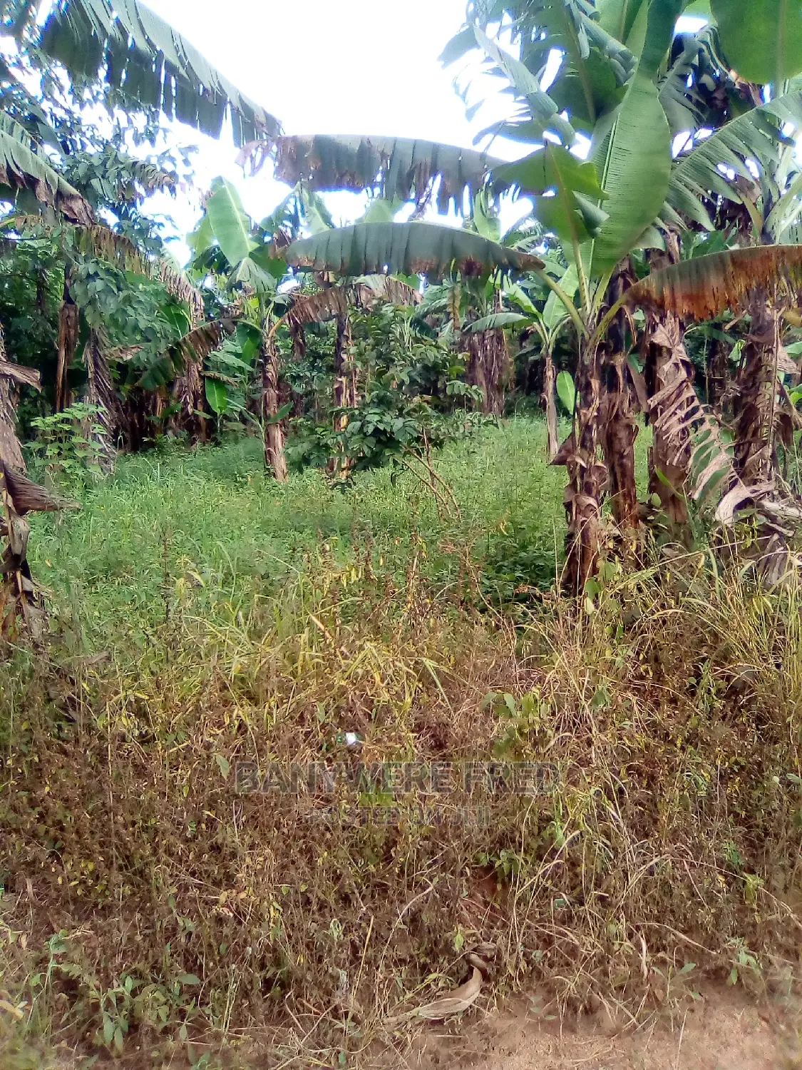 100 Acres Industrial Land in Kasawo