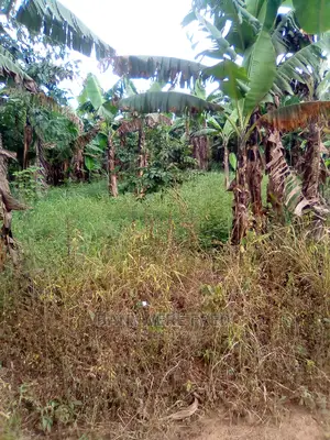 100 Acres Industrial Land in Kasawo