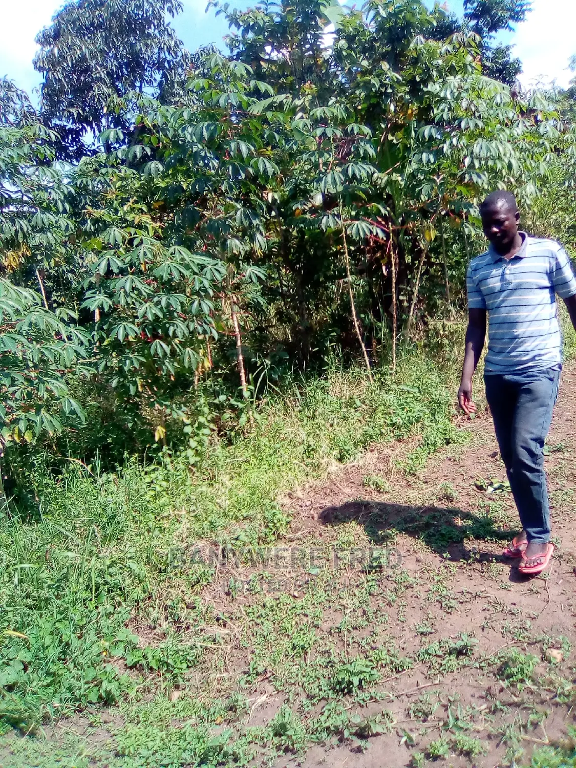 9acres of Farmland for Sale in Kyampisi