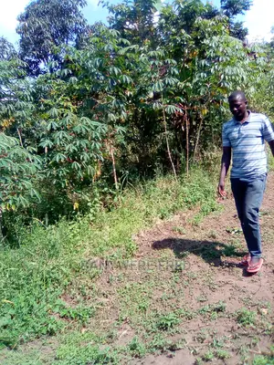 9acres of Farmland for Sale in Kyampisi