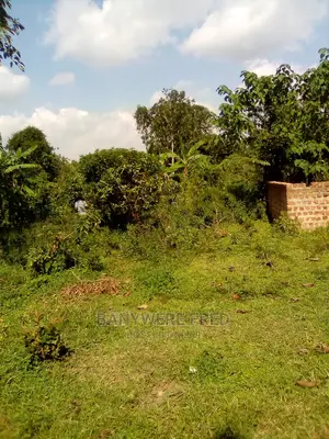 80/100 Plot for Sale in Kyampisi