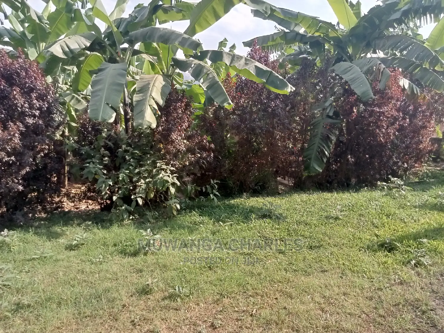 40decimals Plot of Land for Sale at Kisaasi Bahai