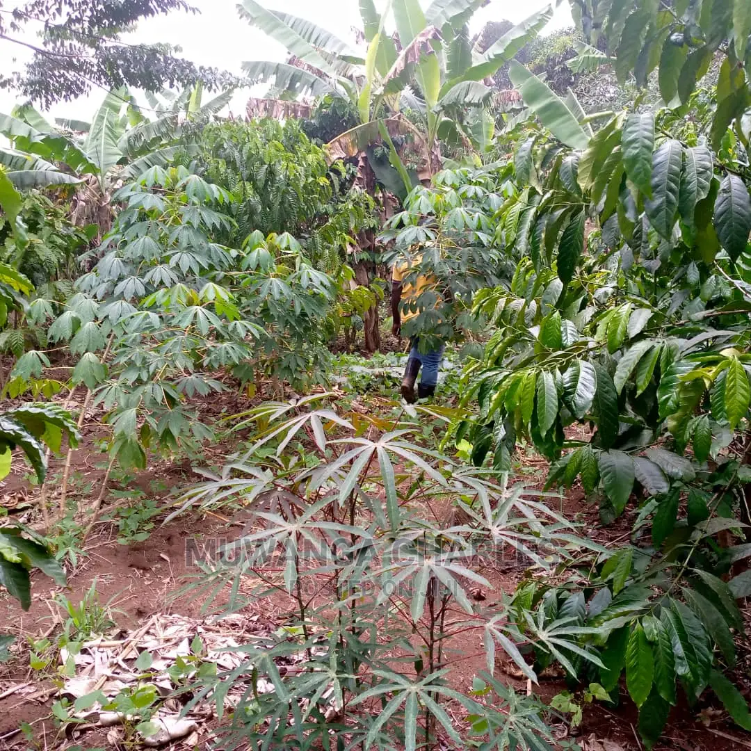 Land for Sale at Wabutungulu