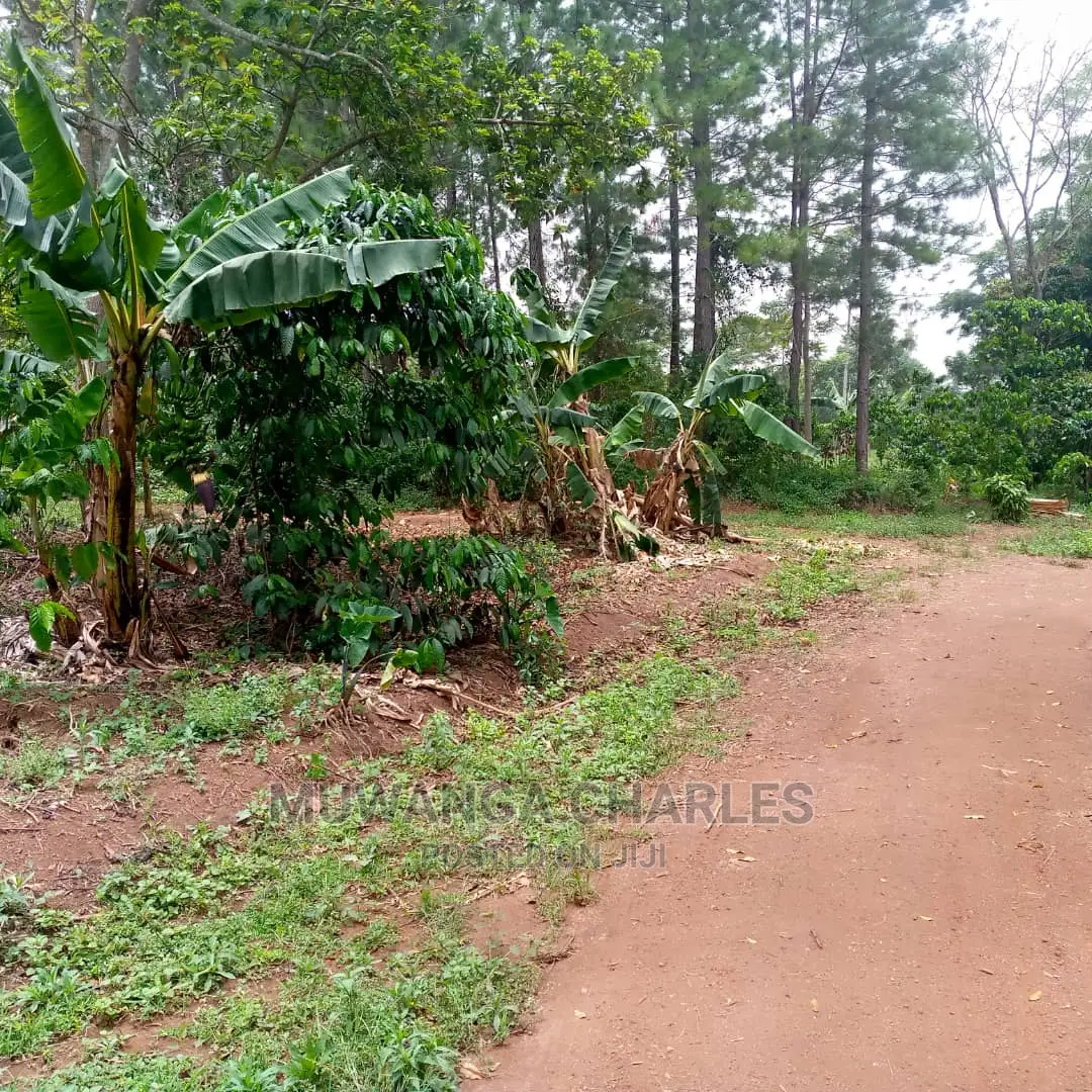 Land for Sale at Wabutungulu