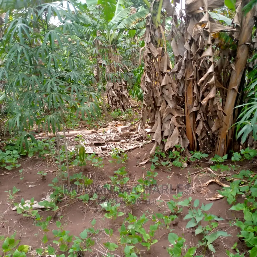Land for Sale at Wabutungulu