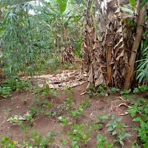 Land for Sale at Wabutungulu