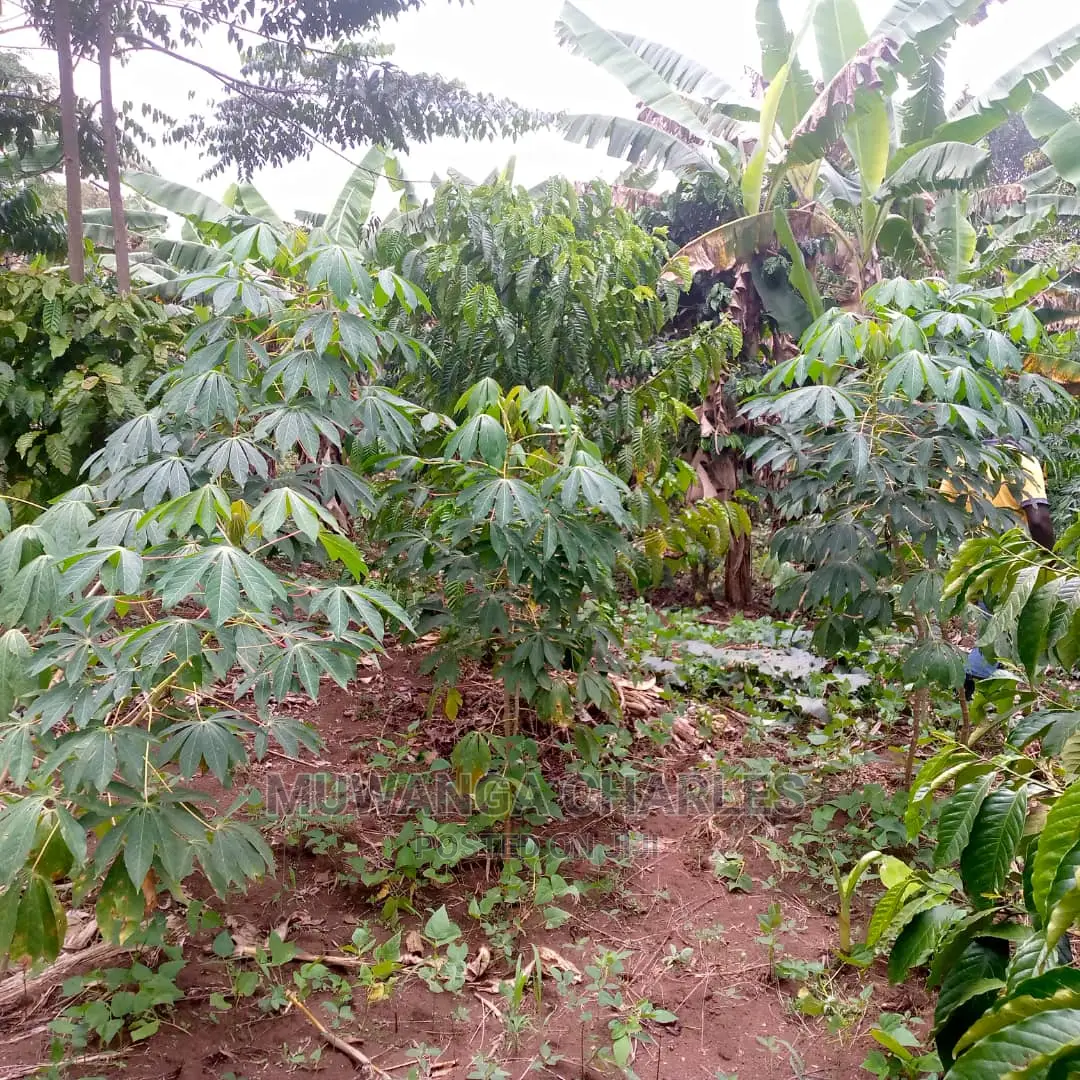 Land for Sale at Wabutungulu